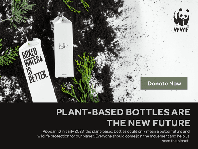 WWF social media camapign post for oceanic pollution