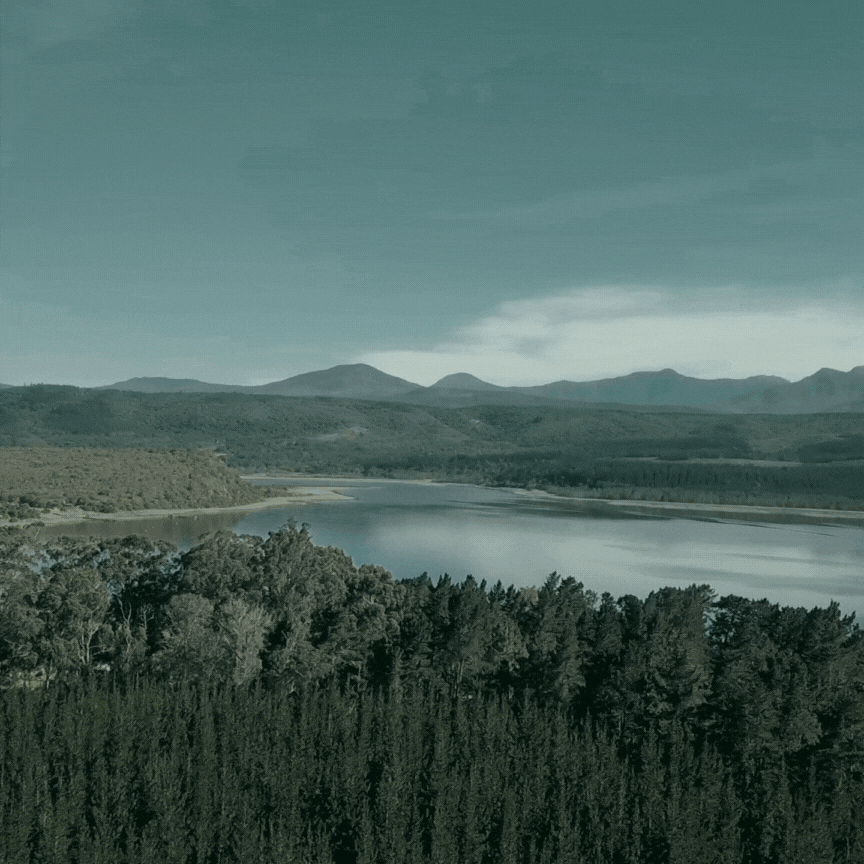 CSR activity reel for a social media channel